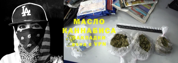 spice Богородицк