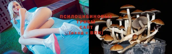 spice Богородицк