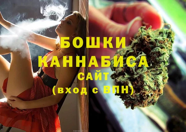 spice Богородицк