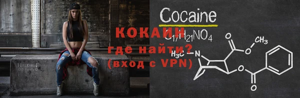 spice Богородицк