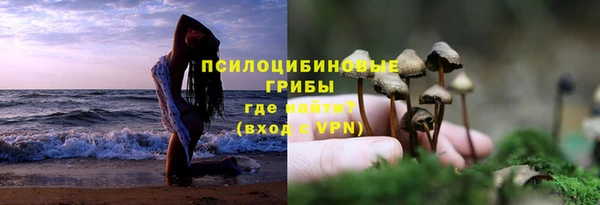 spice Богородицк