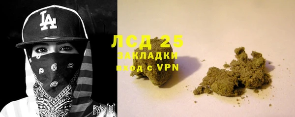 spice Богородицк