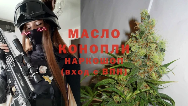 spice Богородицк