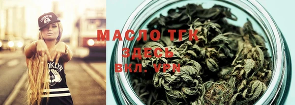 spice Богородицк