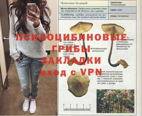 скорость Богданович