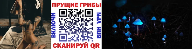 Псилоцибиновые грибы Cubensis Абакан